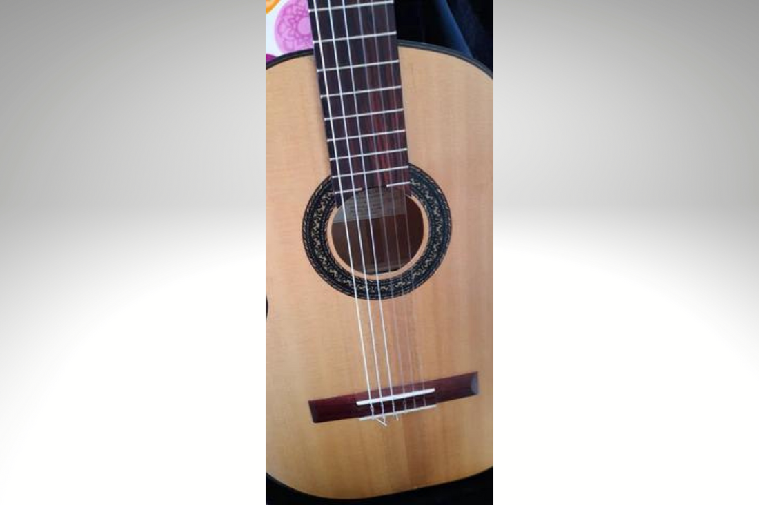 Guitarra Gerardo Escobedo 2020