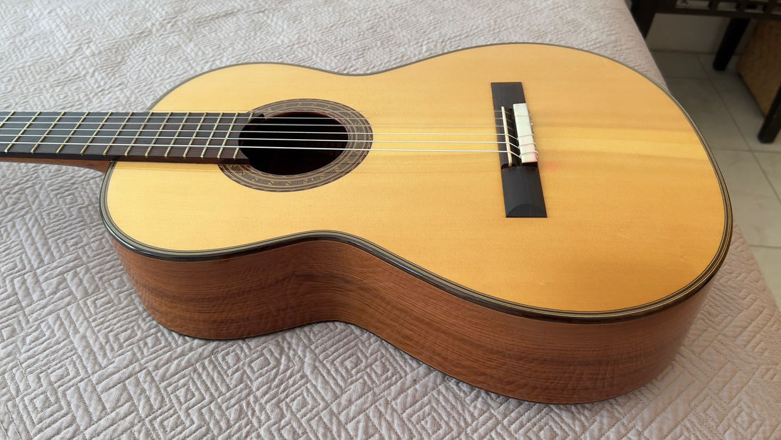 Guitarra David Arnoldo Rubio 2021
