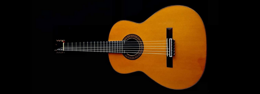 Guitarra Antonio Bernal 2015