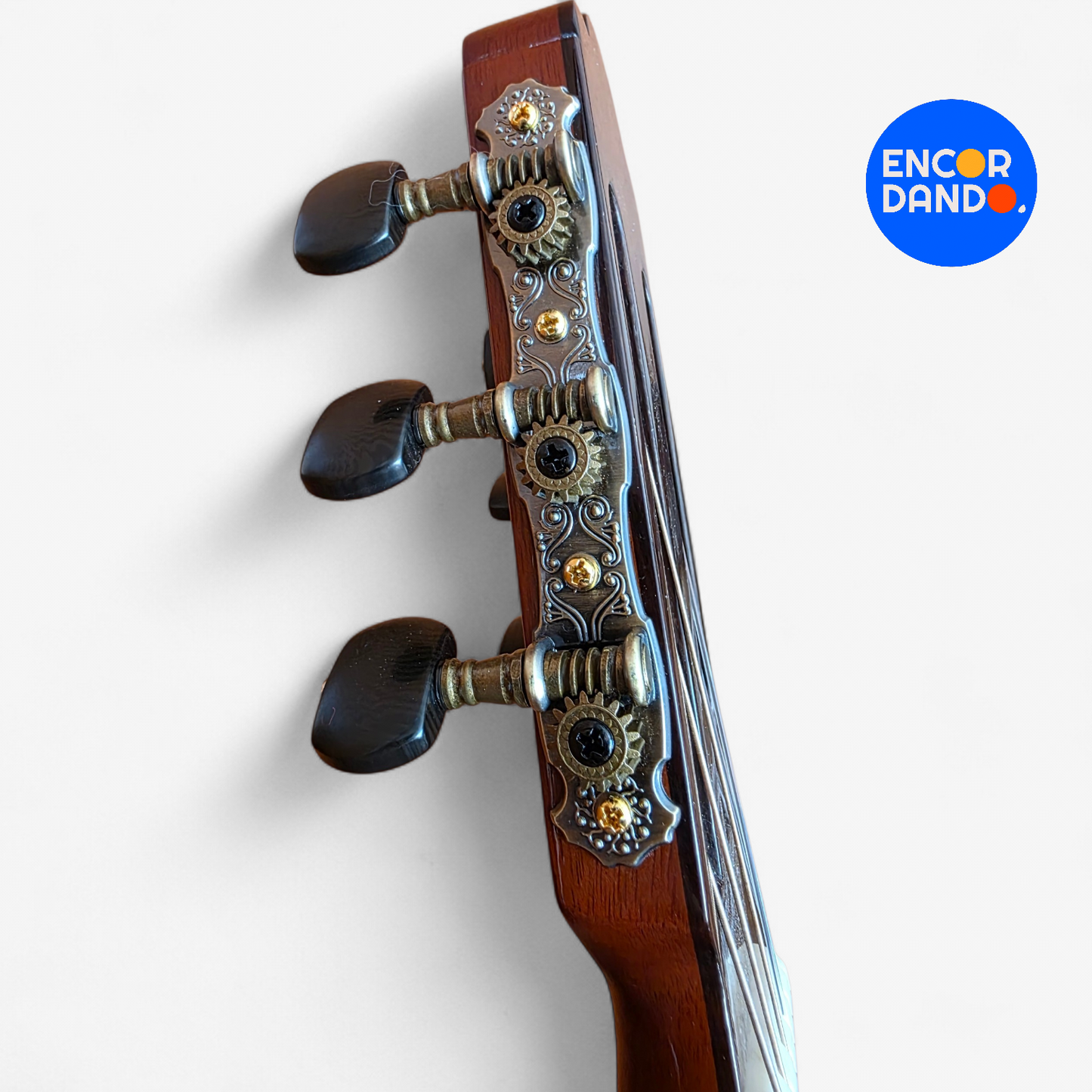 Guitarra de estudio Cedro y Palo Escrito| Luis Cano
