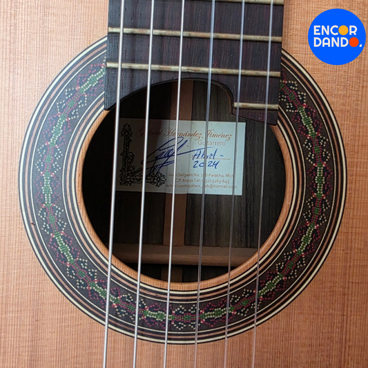 Guitarra de Concierto | Gabriel Hernández