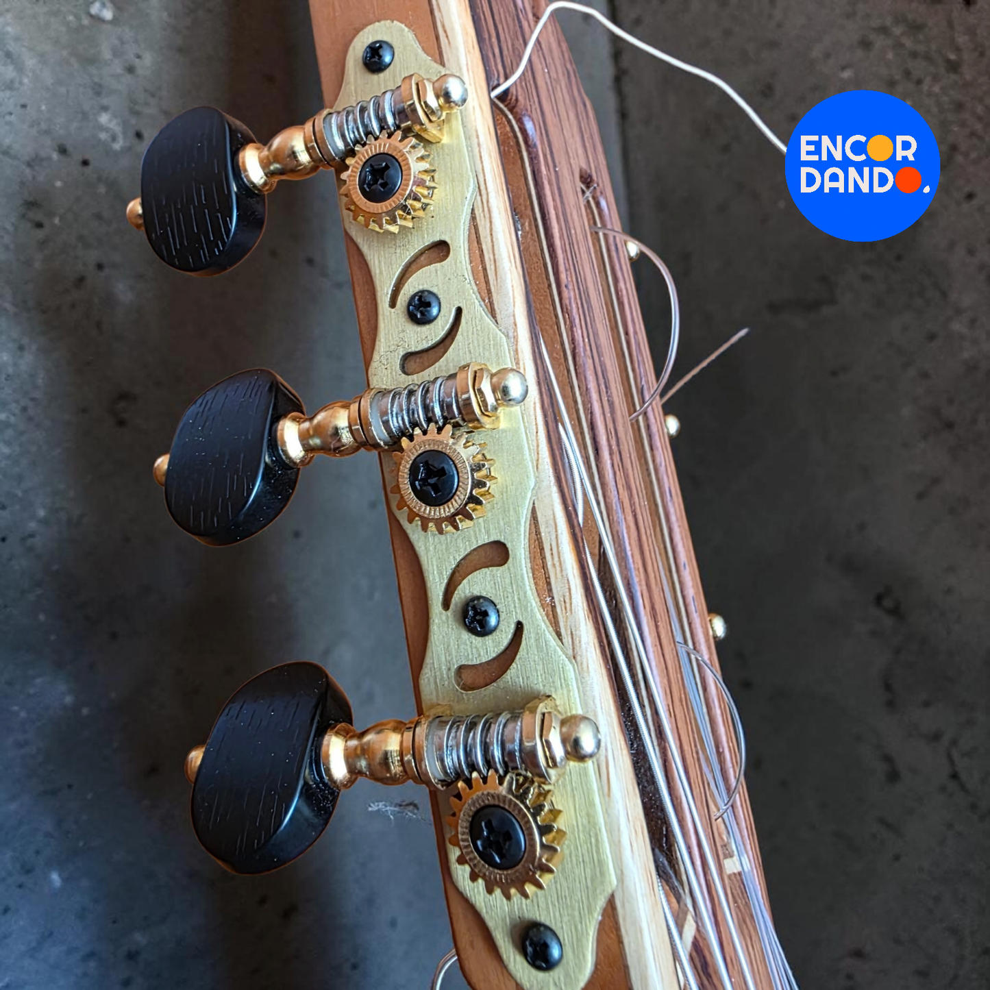 Guitarra de Concierto | Gabriel Hernández