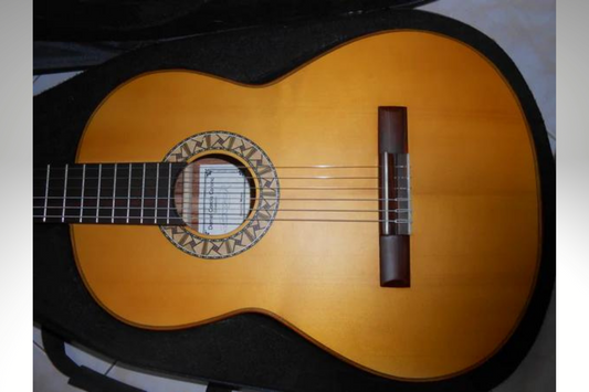 Guitarra Daniel García Corona 2020