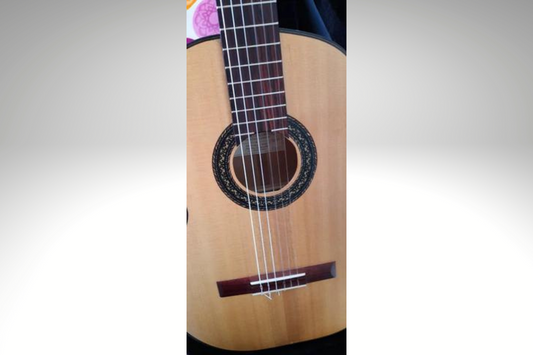 Guitarra Gerardo Escobedo 2020