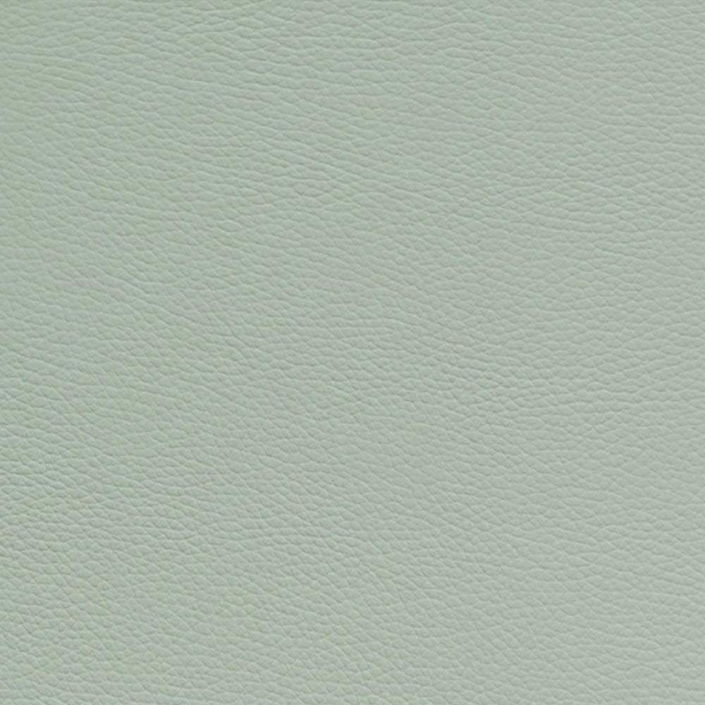 Estuche BAM L'Etoile Slim para Violín Pistache