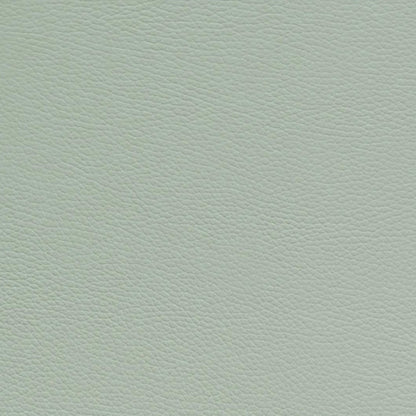 Estuche BAM L'Etoile Slim para Violín Pistache