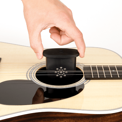 Humidificador D'Addario PRO