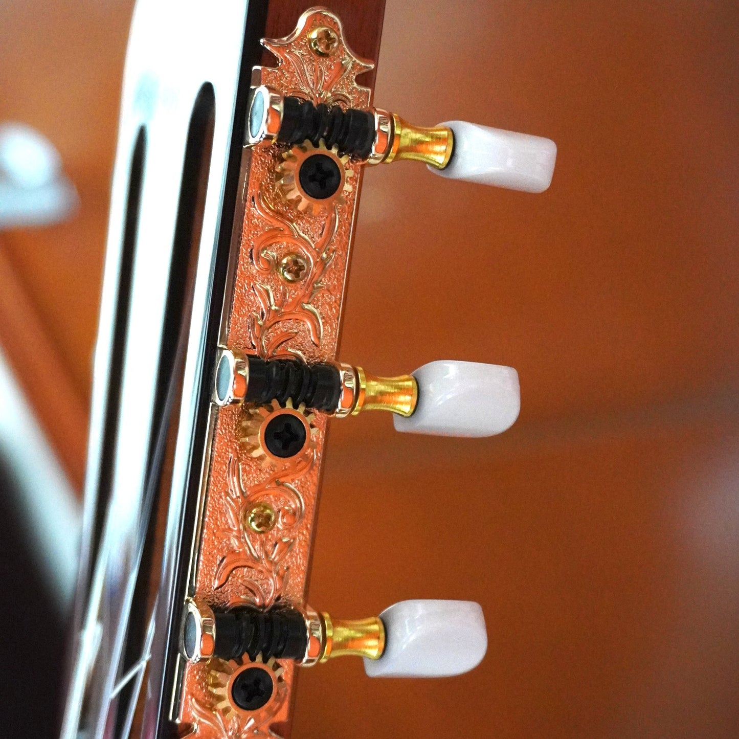 Guitarra de estudio | Luis Cano