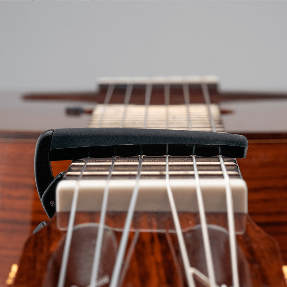 Capo D'Addario Pro Plus