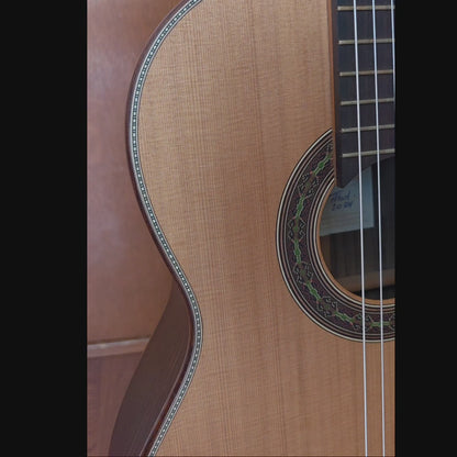 Guitarra de Concierto | Gabriel Hernández