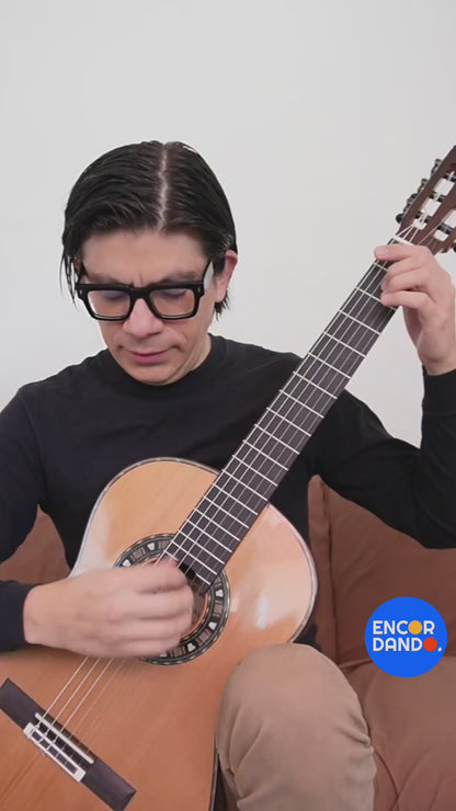 Guitarra de Concierto Palo de Rosa | Luis Cano