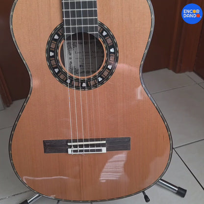 Guitarra de Concierto Palo de Rosa | Luis Cano