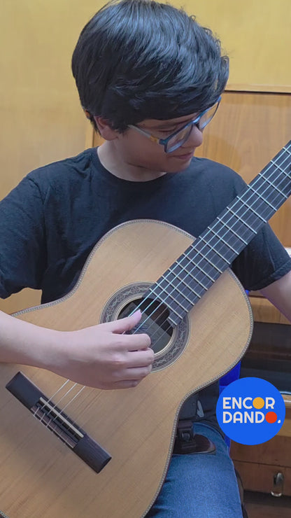 Guitarra de Concierto | Gabriel Hernández