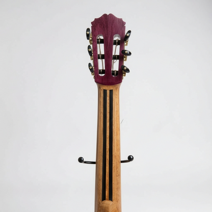 Guitarra de Concierto | Luis Cano