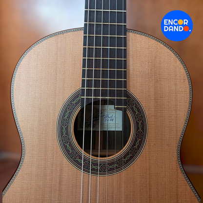 Guitarra de Concierto | Gabriel Hernández