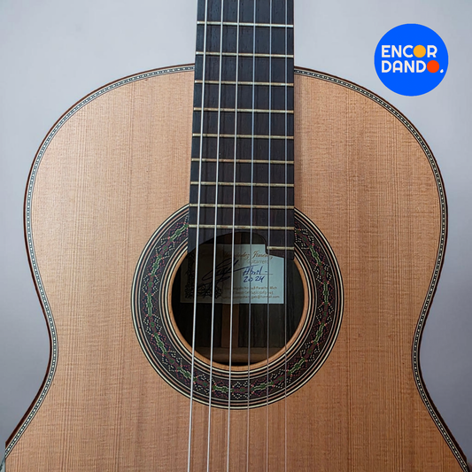 Guitarra de Concierto | Gabriel Hernández