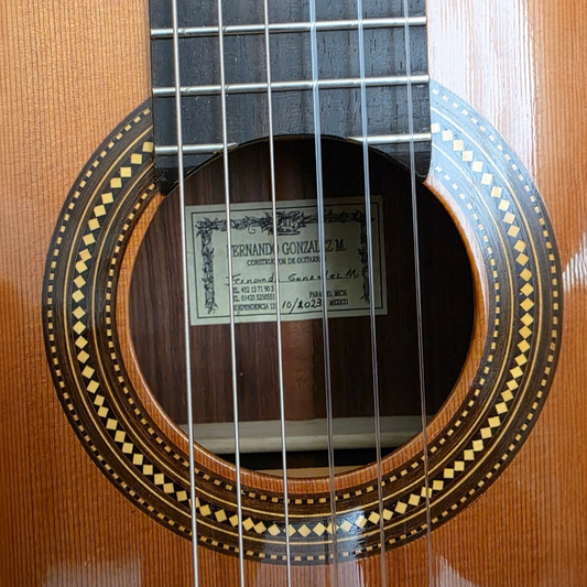 Guitarra de estudio | Fernando González