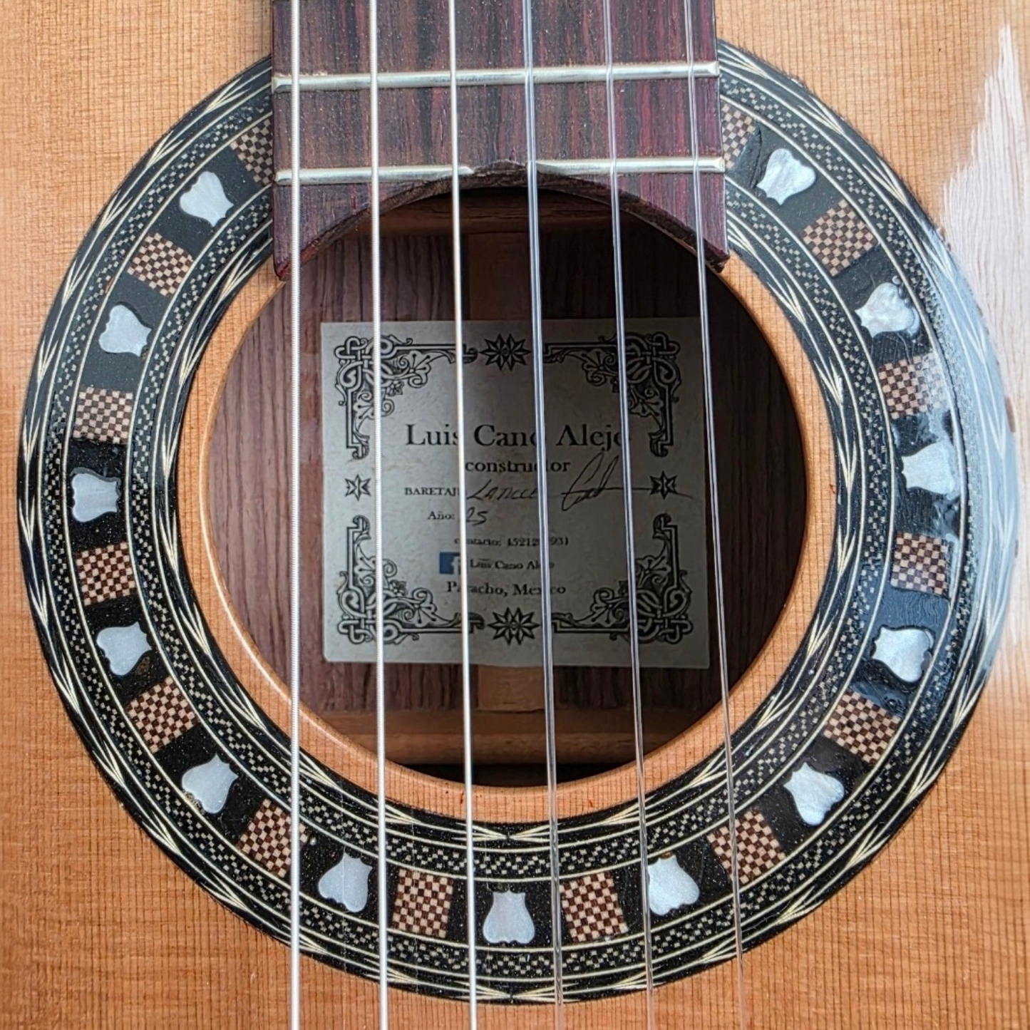 Guitarra de estudio Cedro y Palo Escrito| Luis Cano