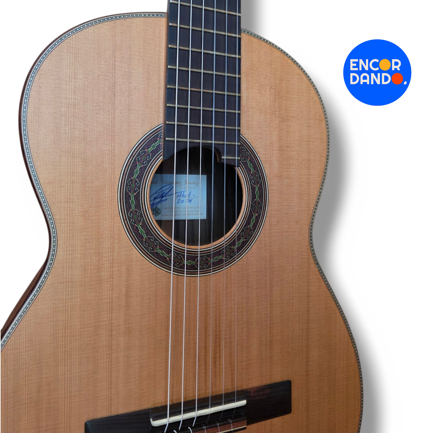 Guitarra de Concierto | Gabriel Hernández
