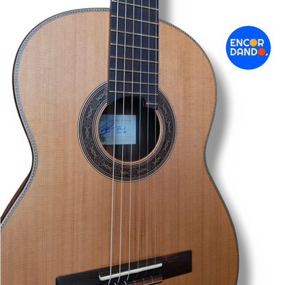 Guitarra de Concierto | Gabriel Hernández