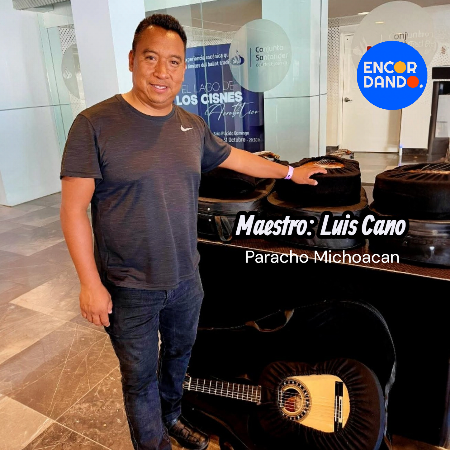 Guitarra de Concierto Palo de Rosa | Luis Cano