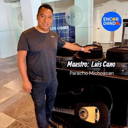Guitarra de Concierto Palo de Rosa | Luis Cano