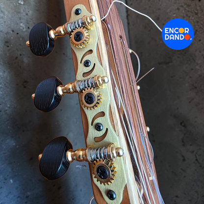 Guitarra de Concierto | Gabriel Hernández
