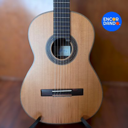 Guitarra de Concierto | Gabriel Hernández