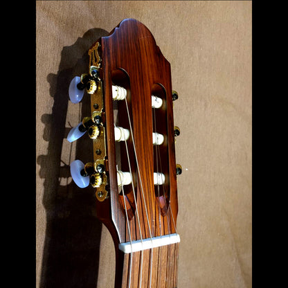 Guitarra de Estudio Fernando González